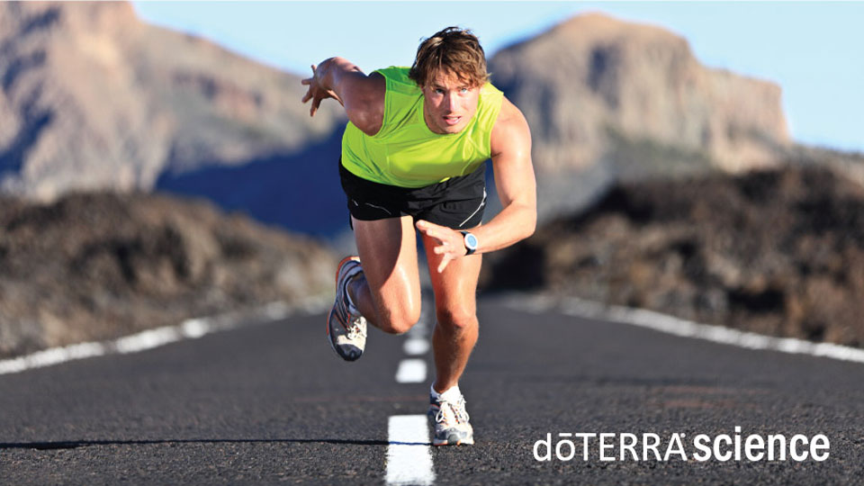 Short Bursts of High-Intensity Exercise for Cardiovascular Health ...