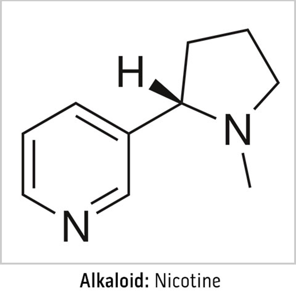 1x1_600x600_Alkaloid_Chemical_Structure_sg_en_web.jpg