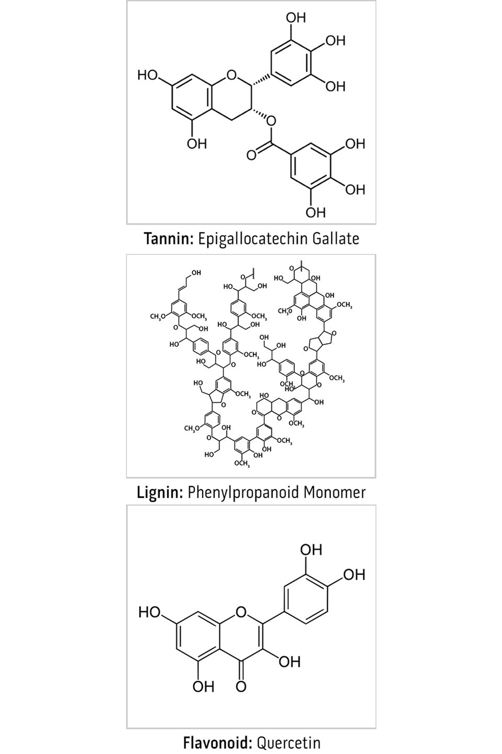 2x3_1020x1530_phenolics_sg_english_web.gif