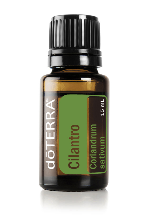 Cilantro Oil