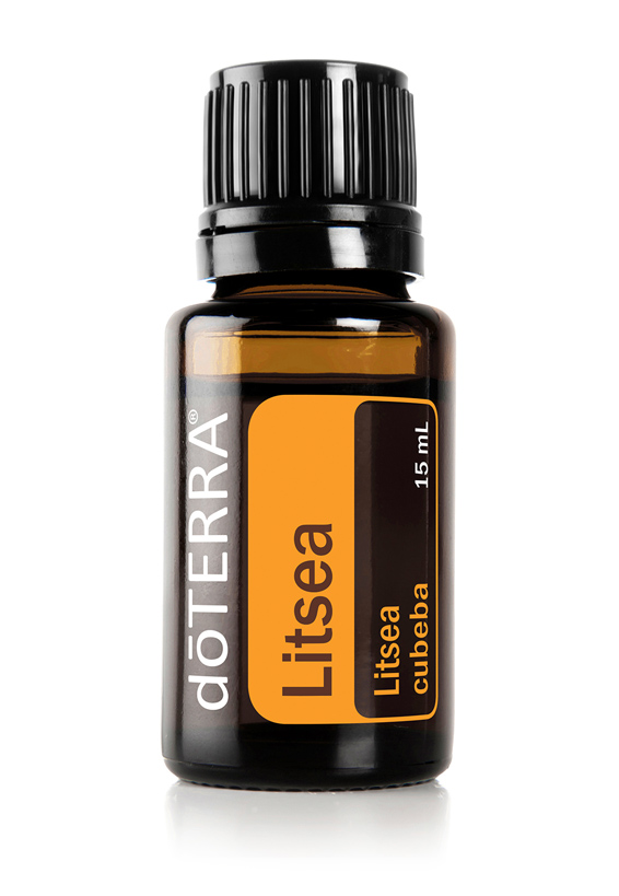 Litsea Essential Oil