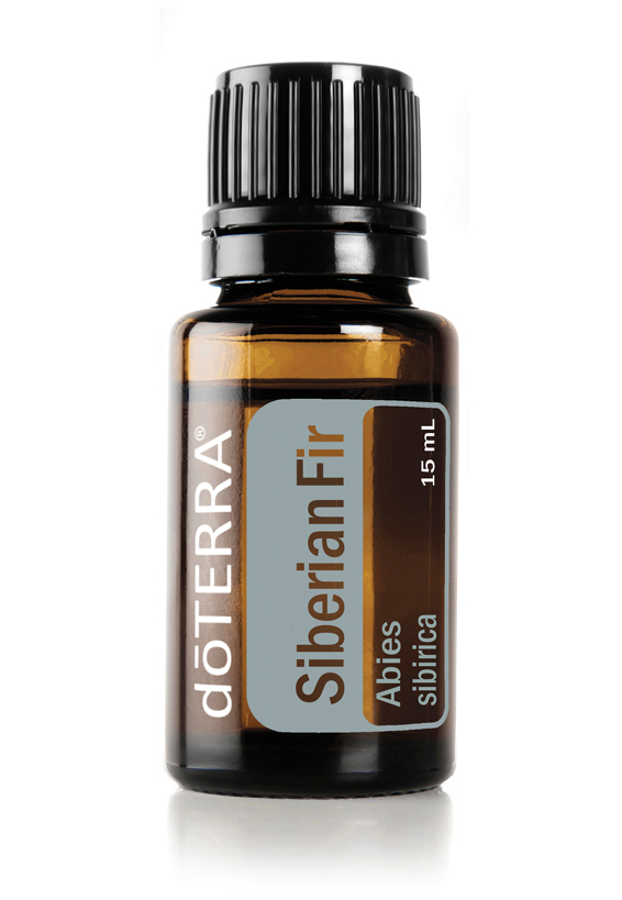 Siberian Fir Essential Oil