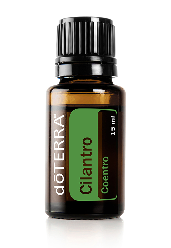 Cilantro Óleo Essencial