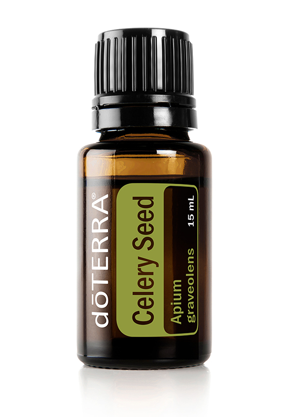 Celery Seed Oil