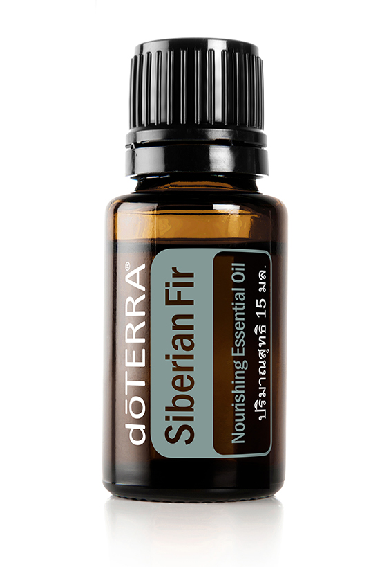 Siberian Fir Essential Oil