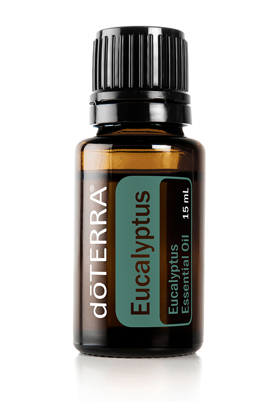 Eucalyptus Essential Oil