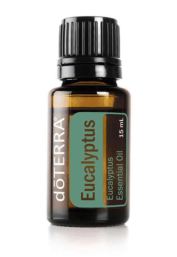 Eucalyptus Essential Oil