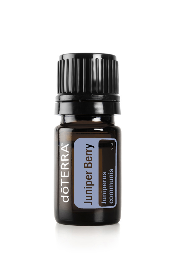 Juniper Berry Oil