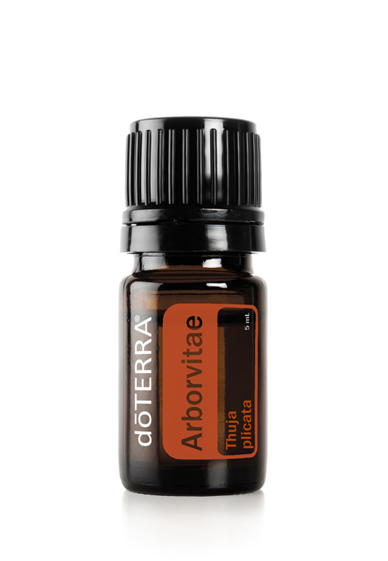 Arborvitae Oil