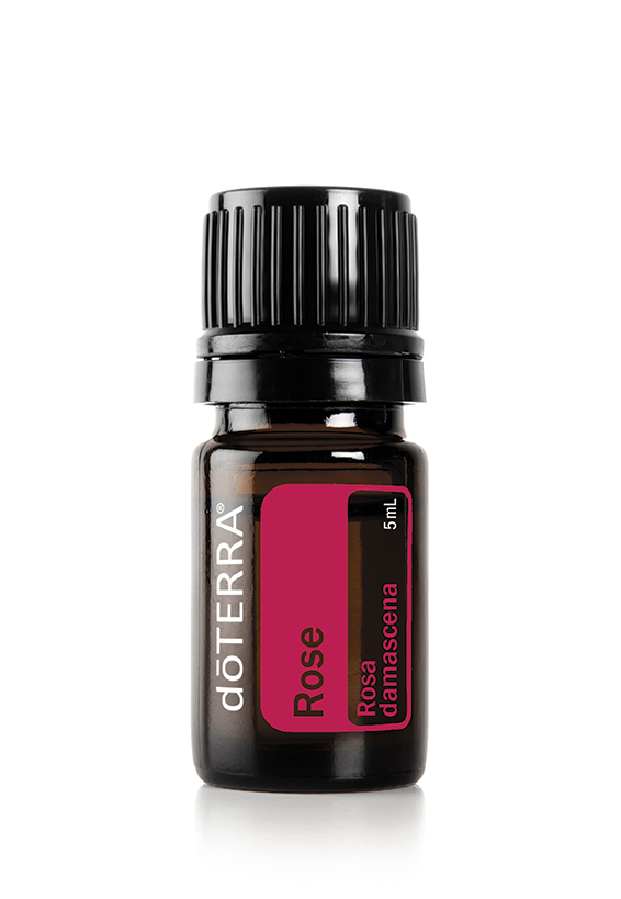 Rose Essential Oil