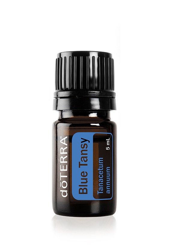 Blue Tansy Oil