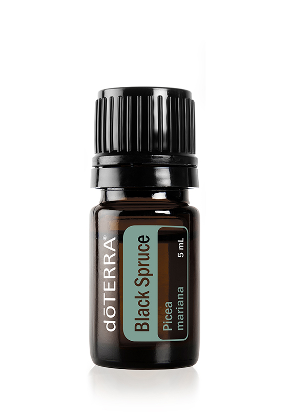 Black Spruce Essential Oil