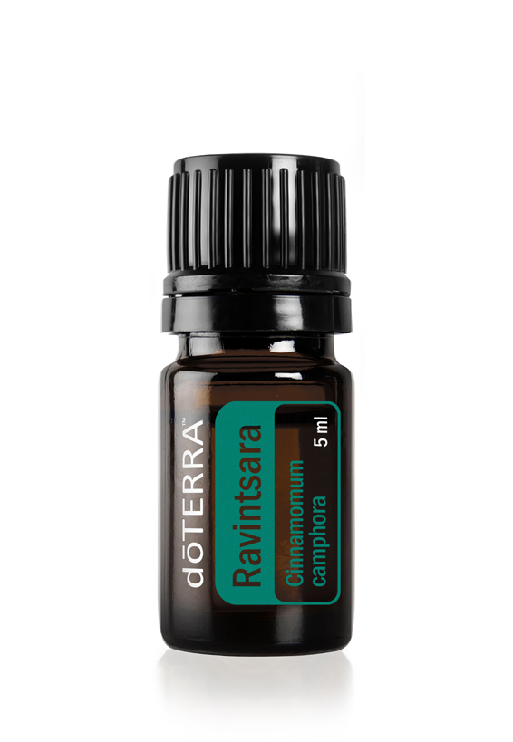 Ravintsara Essential Oil