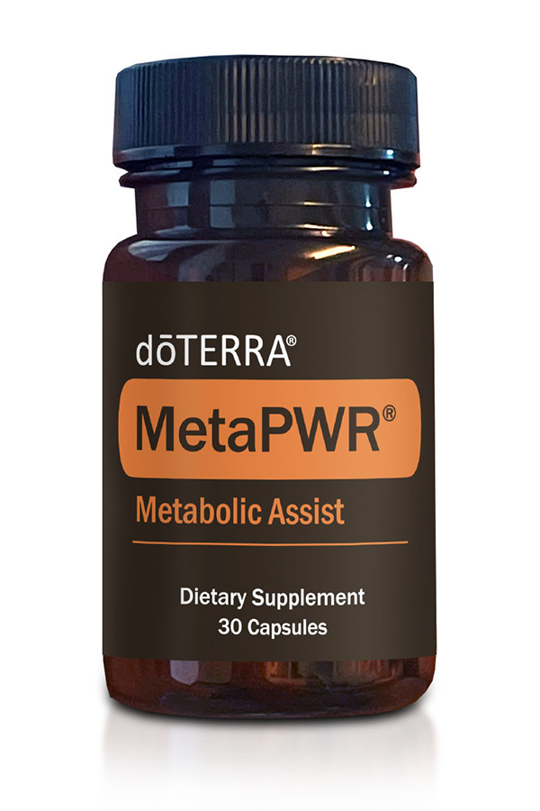 MetaPWR Assist