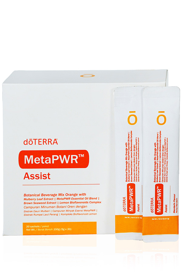 MetaPWR Assist