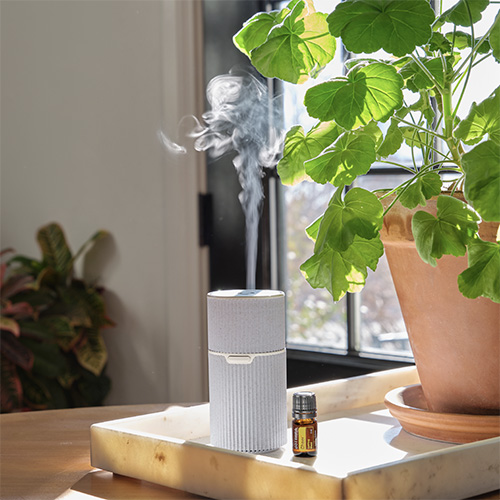 Pilot Diffuser การปรับอากาศด้วยเครื่องพ่นไอน้ำช่วยเรื่องอะไร? | น้ำมันหอมระเหยของ
