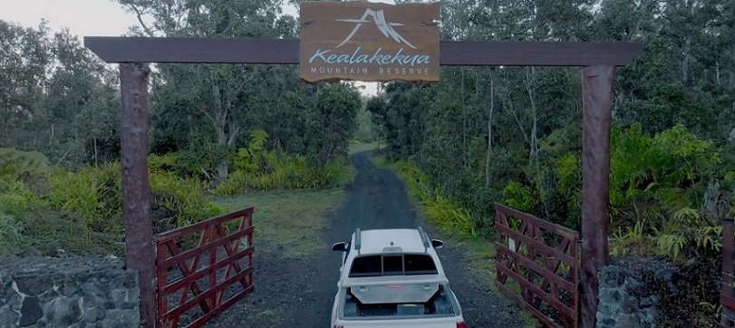 hawaii gate.jpg hawaii gate.jpg