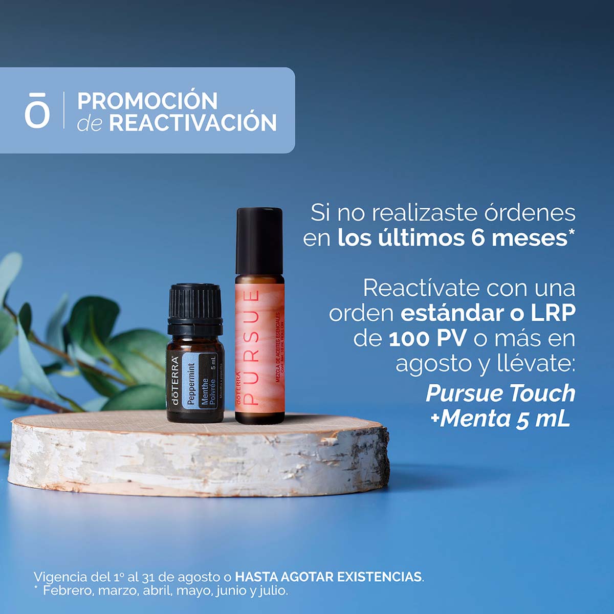 ofertas_ago_25_reactivacion_post_baja.jpg ofertas_ago_25_reactivacion_post_baja.jpg