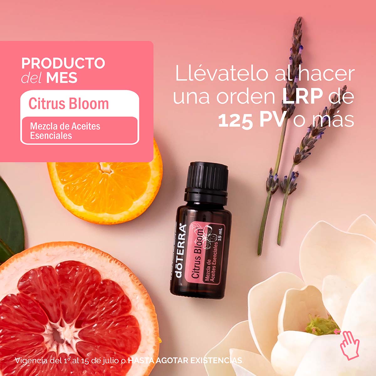 ofertas_julio_25_POM_post_baja.jpg ofertas_julio_25_POM_post_baja.jpg