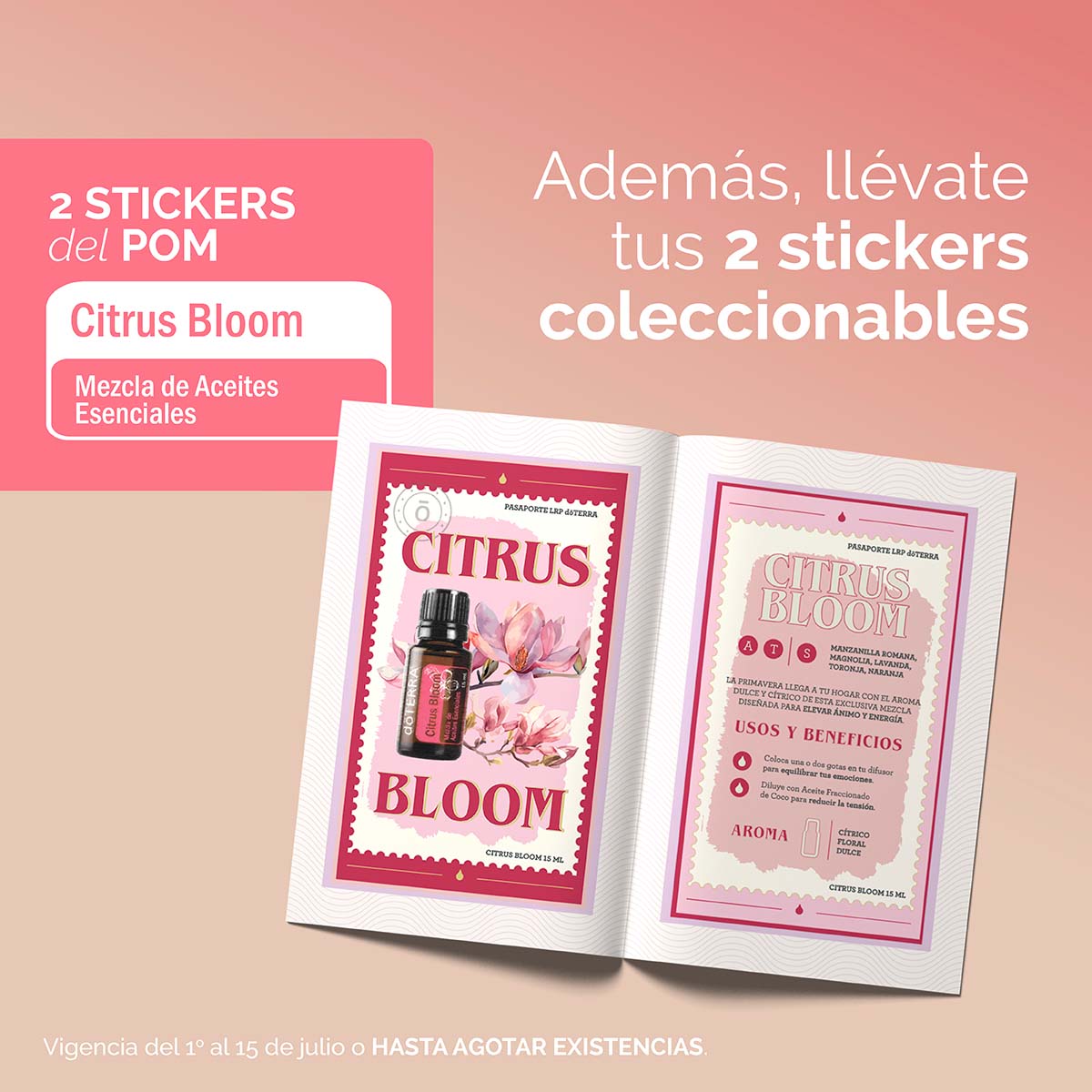 ofertas_julio_25_STICKERS_post_baja.jpg ofertas_julio_25_STICKERS_post_baja.jpg