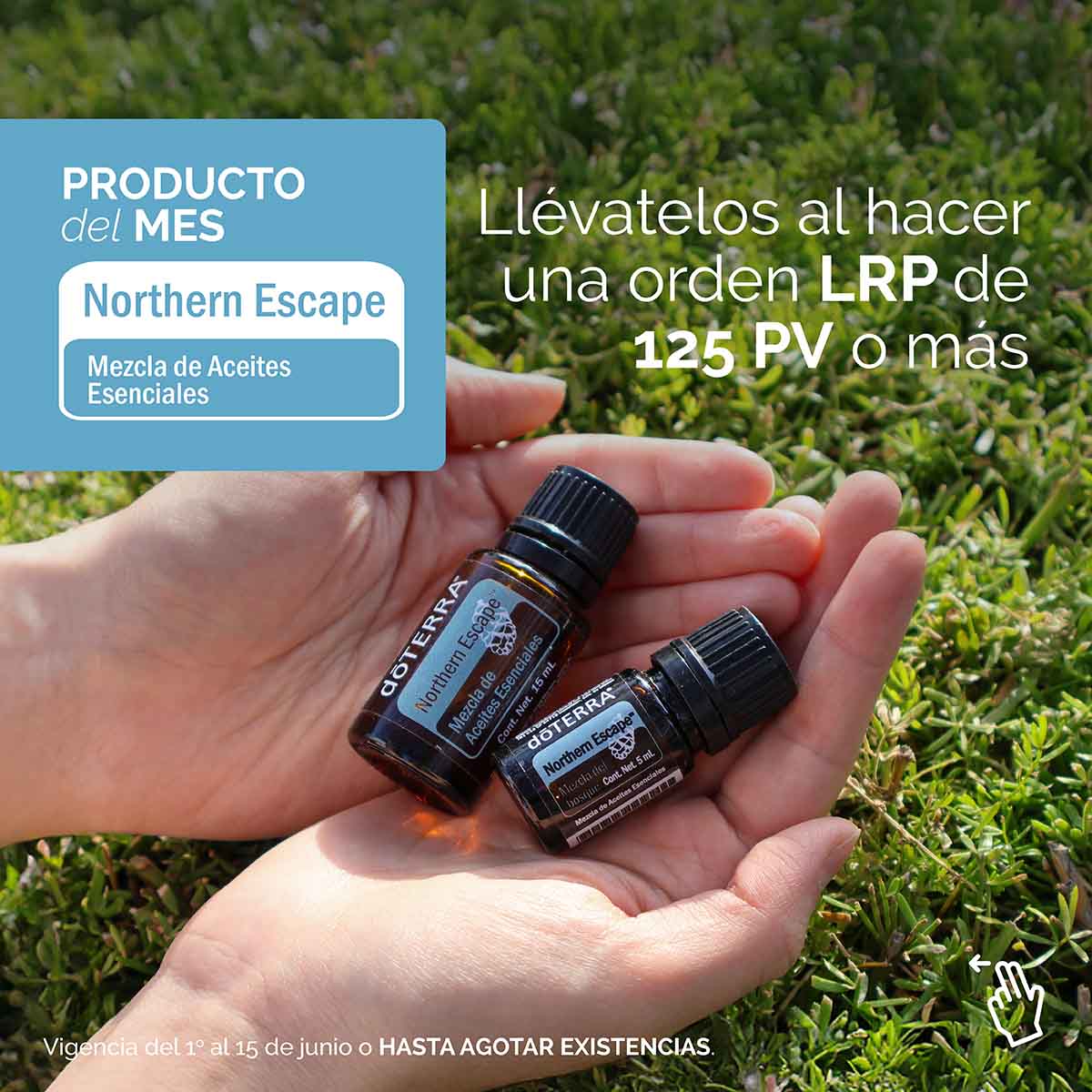 ofertas_junio_25_POM_post_baja.jpg ofertas_junio_25_POM_post_baja.jpg