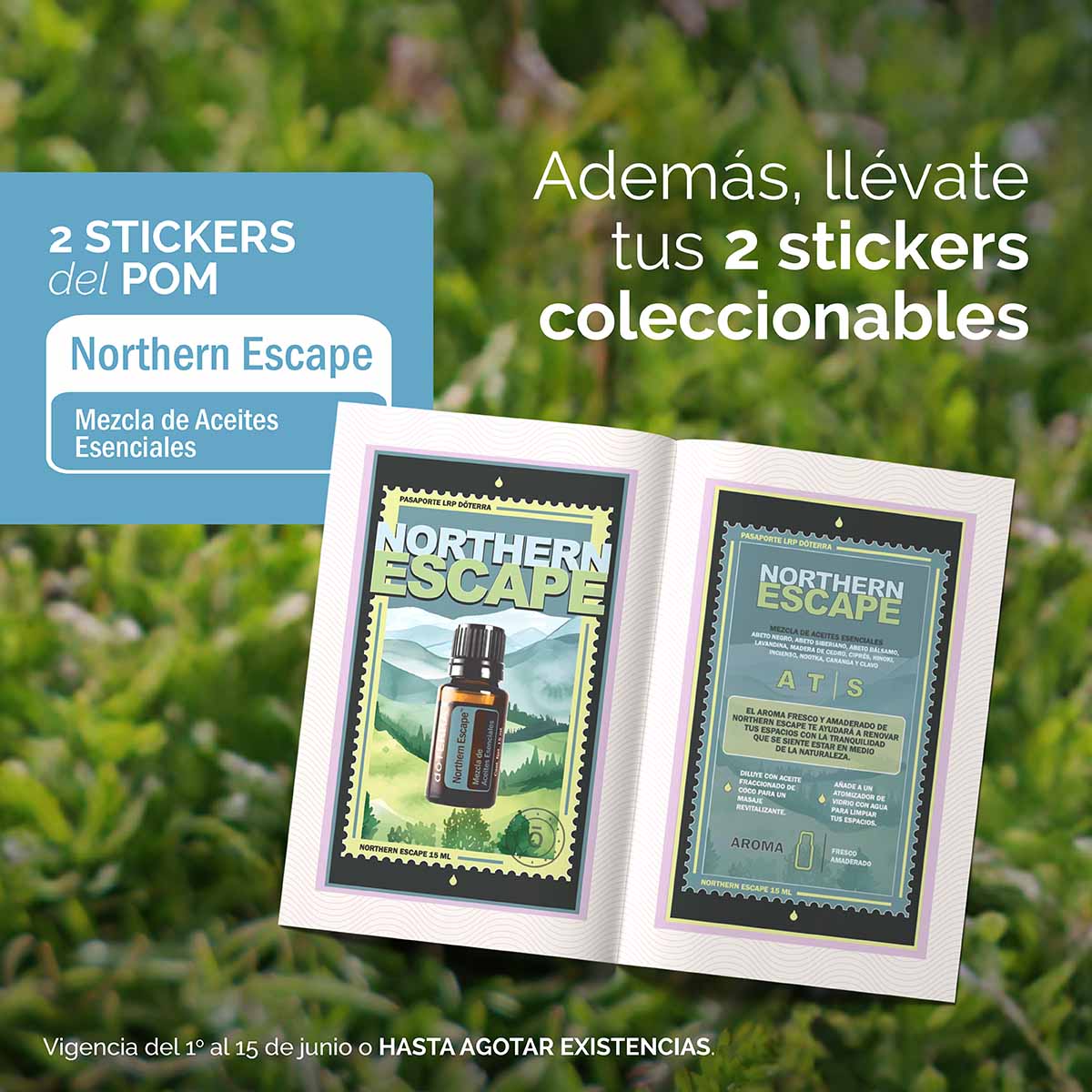 ofertas_junio_25_STICKERS_post_baja.jpg ofertas_junio_25_STICKERS_post_baja.jpg